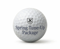 Spring Tune-Up Package